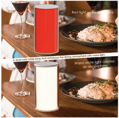 Good price 1W Sleep Aid Lamp Dual Color Flip Desk Lamp Rechargeable online