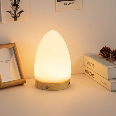 Prezzo buono Lampada da tavolo SAD ad alto CRI 12V per disturbi affettivi stagionali in linea